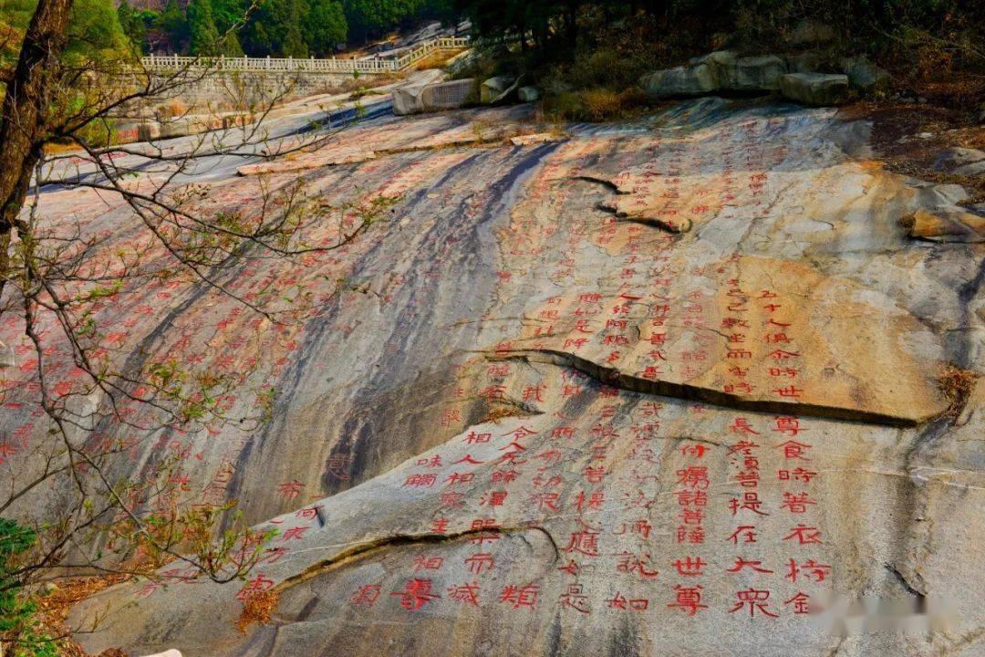 解决问题,尽在完全没有服装设计知识,应该怎么开始学习制作服装呢?问答平台